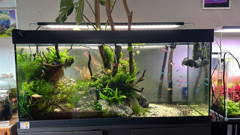 F6F55E7A-CC0B-4FAB-BD34-175DFB1E9914