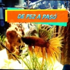 Profile photo of depezapaso99