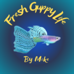 Profile photo of Fresh Guppy Life