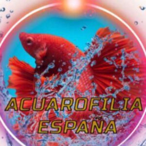 Profile photo of Acuarofilia España Nico Rosso