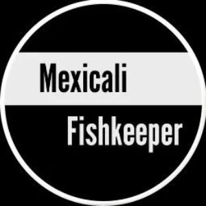 Profile photo of mexicali_fishkeeper