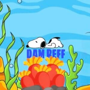 Profile photo of damreff